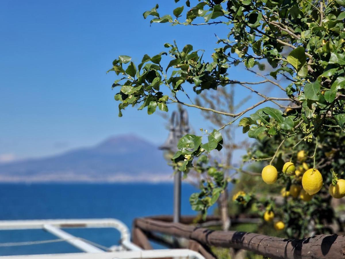 Appartamento Vico Di Mare Vico Equense Esterno foto